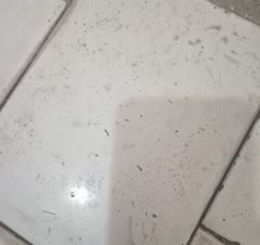 تمیزی به بهترین شکل ممکن