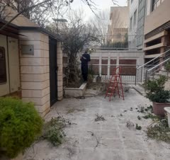 هرسکاری در سیمون بولیوار پونک