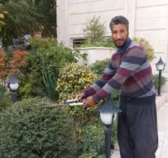 هرس درختان و درختچه ها