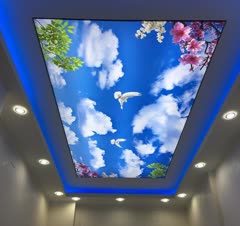 سقف پرینتر آسمونی