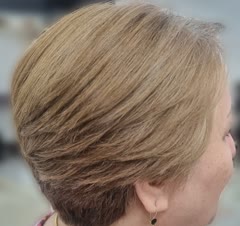 انواع مدلهای پیکسی