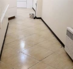 پذیرایی در عروس ونظافت درساختمان رابین هودساختمان پاسارگاد