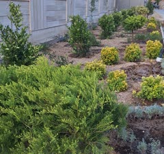 اجرای محوطه کارخانه