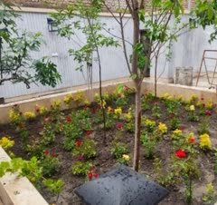 باغبانی سمپاشی