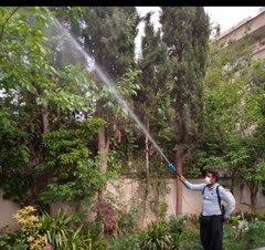 صفرتاصد خدمات باغبانی برش وخردکردن درخت وشاخه خشک با اره موتوری وبرقی قوی بیصدا