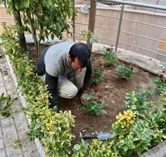 باغبانی و کشاورزی سم پاشی