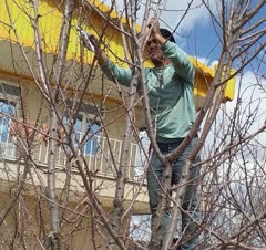 خدمات کلی کشاورزی