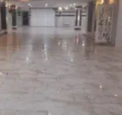 پارکین