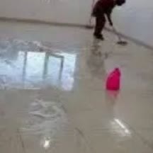 پارکین