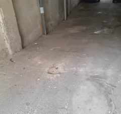 نطافت پارکینگ