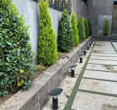اجرای فضای سبز و نظافت
