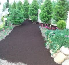کاشت چمن . و مشاوره در خرید گل و گیاهان زینتی