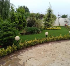 کاشت چمن . و مشاوره در خرید گل و گیاهان زینتی