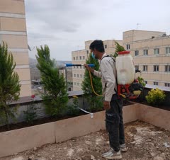 سم‌پاشی انواع گل گیاه