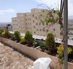 کاشت انواع گل ،گیاه