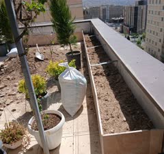 کاشت انواع گل ،گیاه