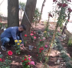 نمونه کارهای قبلی