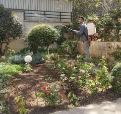 نمونه کار قبلی