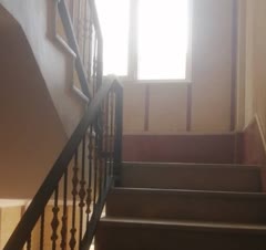 خدمات و نظافت مانلی