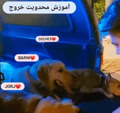 محدودیت خروج