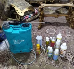 سمپاشی سوسک ساس با بهترین کیفیت