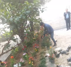 باسلام عرض ادب انجام کارهای باغبانی کاشت گل وگیاهان باغچه هرس کاری کوددهی،تعویض،خاک باغچه وکاشت گل وگیاهان آپارتمانی وغیره ویمپاشی گل وگیاهان باغچه شته .پشه.سوسک .کنه .موریانه.موش.ومورچه.وسمپاشی باغ ها.شرکت ها ومنازل وغیره باصدرصد تضمین کاری تهران وحومه