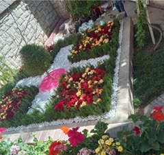 خدمات باغبانی گلکاری تعویض خاک گلدان تمام نقاط