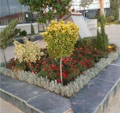 خدمات باغبانی گلکاری تعویض خاک گلدان تمام نقاط