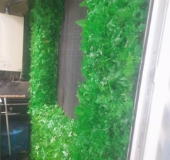 گرین وال💚🎋🎄🎍🖼