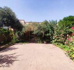 حیاط شادی