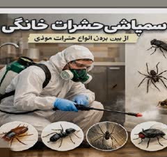 سم پاشی و ریشه کن کردن انواع حشرات