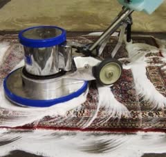 قالیشویی ارس