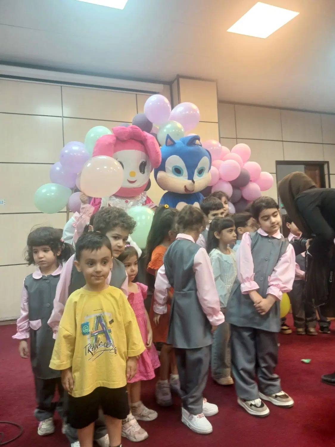تن پوش سونیک و ملودیمون 🩷💙