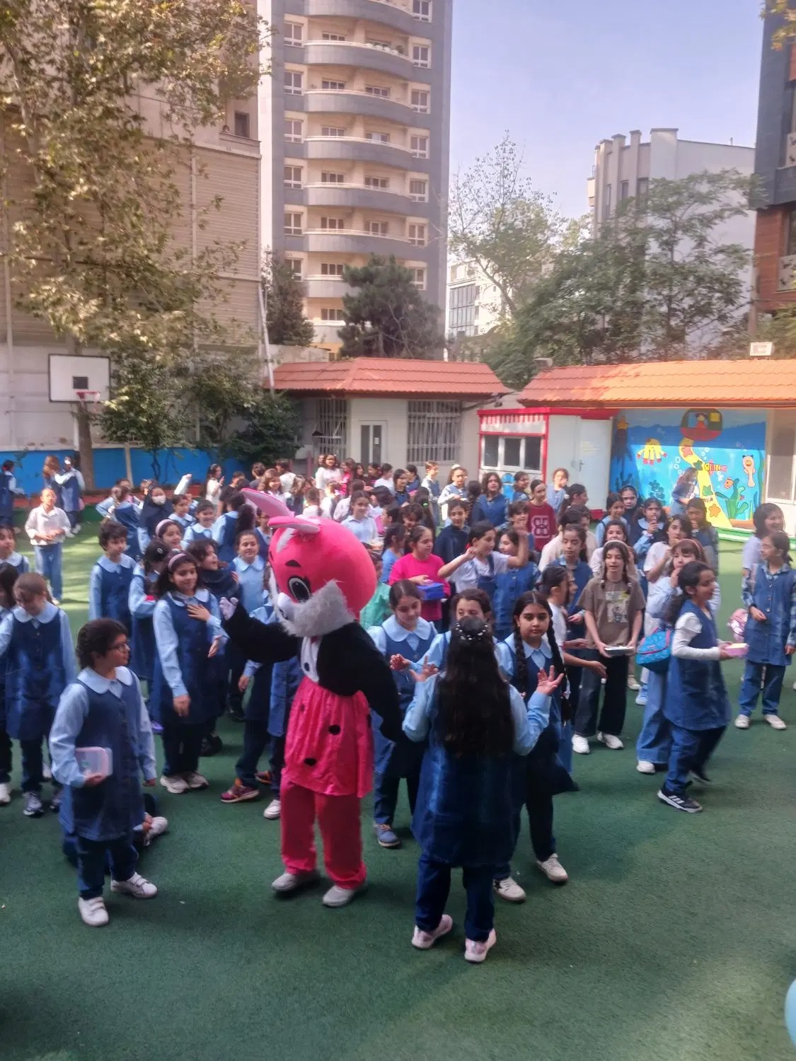 تن پوش خرگوشی 🎀🐰